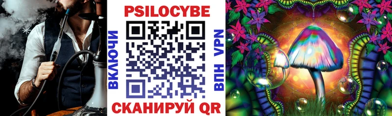 где купить наркотик Шиханы kraken ТОР Галлюциногенные грибы Psilocybine cubensis